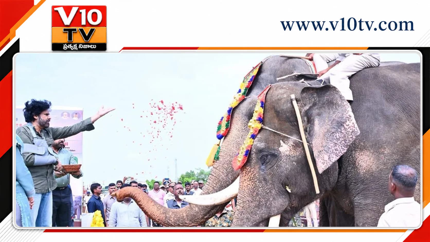 పార్వతీపురానికి కుంకీ ఏనుగుల తరలింపు.. మంగళగిరిలో పవన్ కళ్యాణ్ ఘన స్వాగతం — చిత్రం 1
